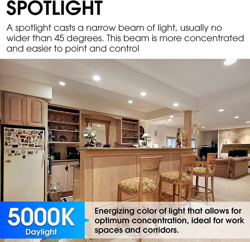 Energetic PAR38 Outdoor LED Flood Light Bulb, 5000K Daylight, 90 Watt Equivalent, Wet Rated, 900LM, E26 Base