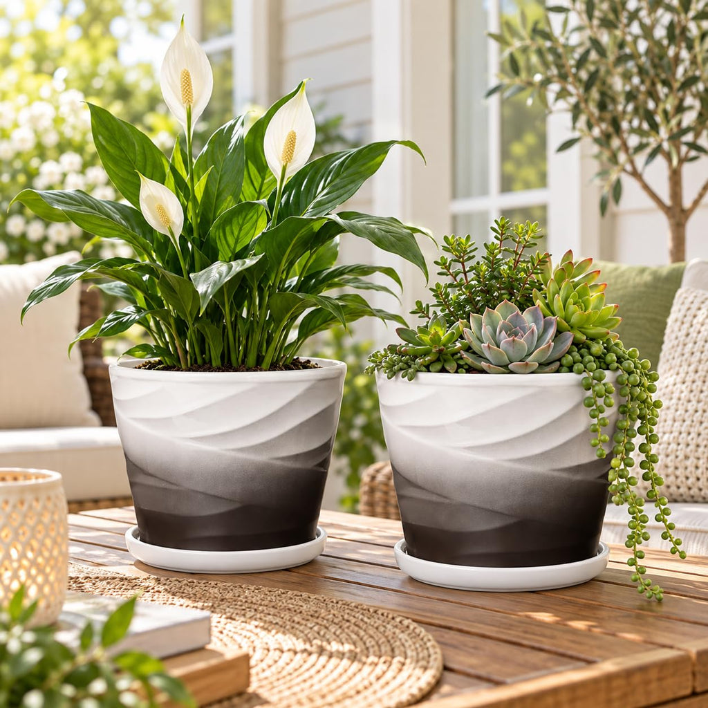 Ceramic Plant Pots, 6 Inch, Set of 2