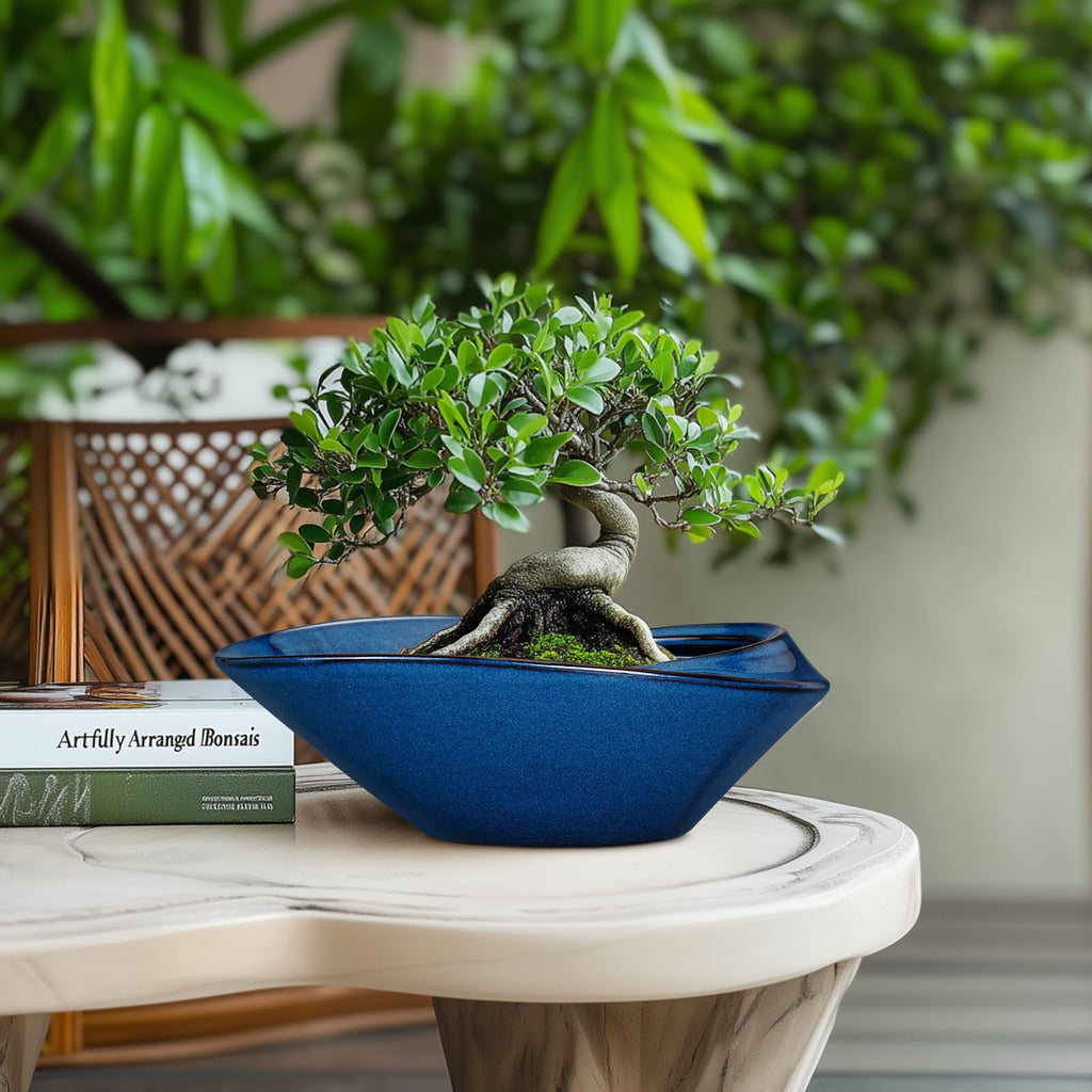 Bonsai Tree Pot - Ceramic Planter Pot with Drainage Hole 12 Inch Bonsai Pots Decorative Orchid Succulent Plant Pots