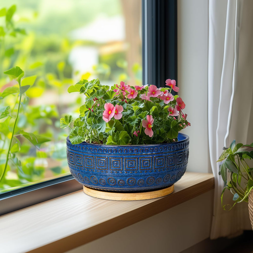 Bonsai Pots 8 Inch - Ceramic Succulent Pots, Round Planter for Indoor Plants, Modern Outdoor Planter with Drainage