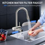 Kitchen Faucets with Filtered, Stainless Steel Filter Kitchen Faucet with Pull Down Sprayer Reduces Lead, Chlorine
