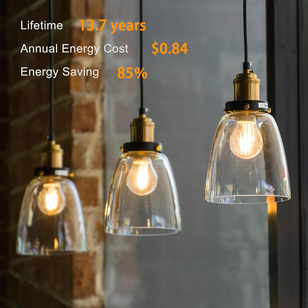 6 Pack A19 Vintage LED Edison Bulbs, Dimmable Light Bulb 60W Equivalent, High Brightness 2700K Warm White, 8W E26