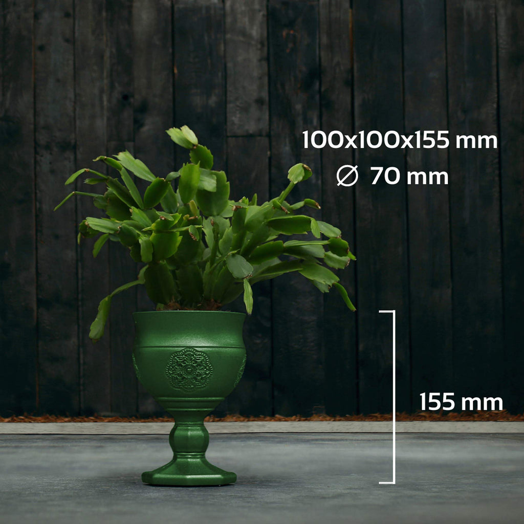 Graal Concrete Flower Pot Cement Planter Diameter 7 cm 17 Colours