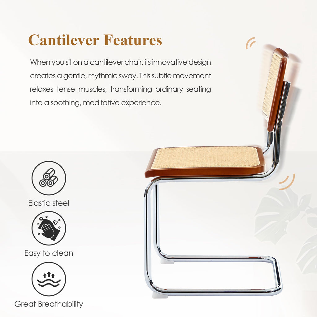 Rattan Dining Chairs Set of 2, Boho Modern Dining Chairs with Rattan Back, Curved Steel Base, Cantilever Kitchen
