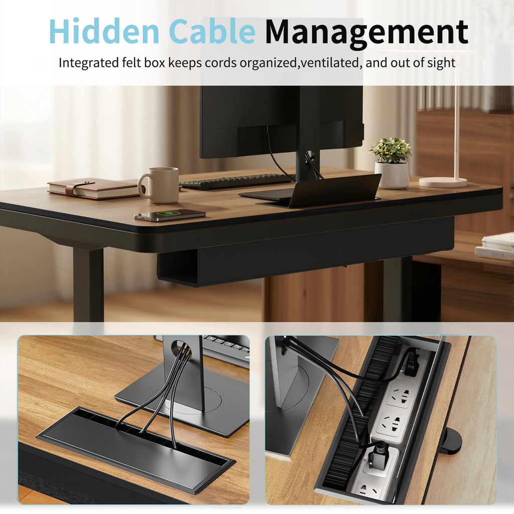 48" Electric Standing Desk with Drawer, Adjustable Sit Stand Desk, Walnut