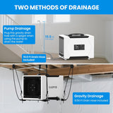 Crawl Space Dehumidifier with Pump and Drain Hose, 80 Pint Crawlspace Dehumidifier for Commercial, Basement