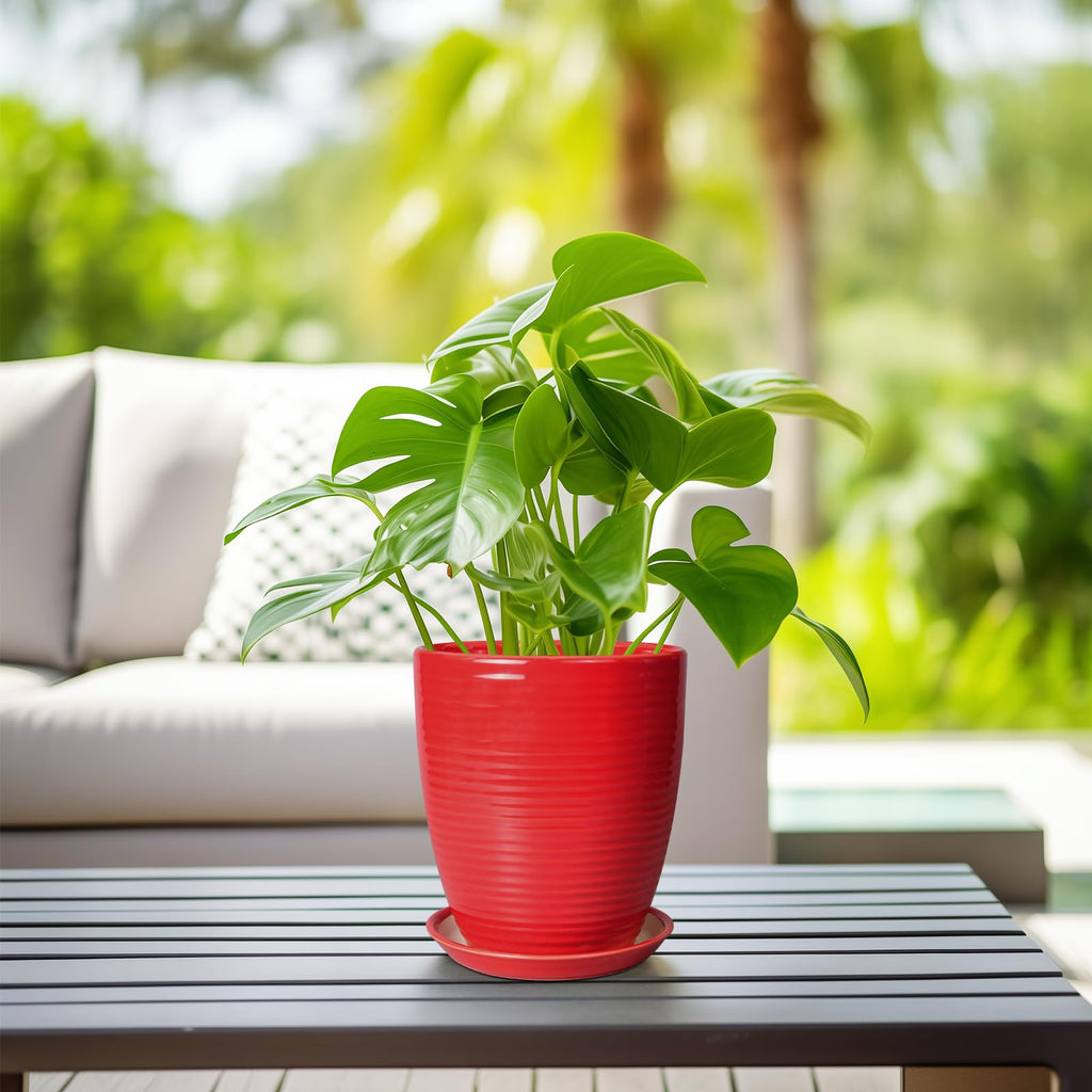 Ceramic Pot for Plants - 8 Inch Plant Pot for Indoor Plants Outdoor Round Planter Modern Flower Pot with Drainage