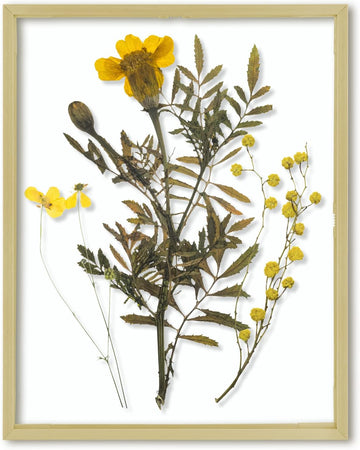 11x14 Gold Aluminum Floating Picture Frame Real Glass | Tempered Glass Front, Plexiglass Back, Wall Mount Display