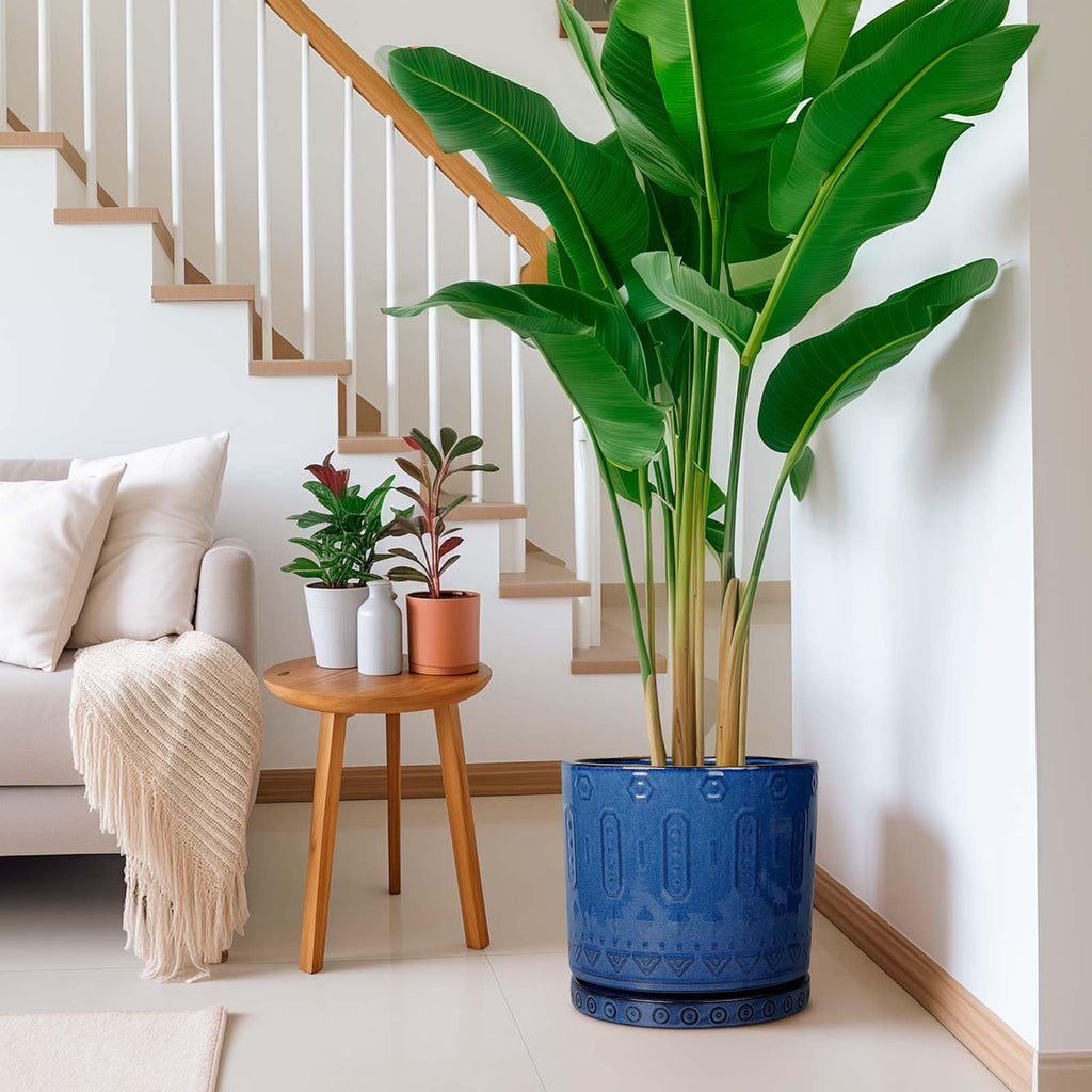 12 Inch Pot for Plants - Ceramic Planter for Indoor Plants Large Plant Pot with Drainage Holes and Saucer Outdoor