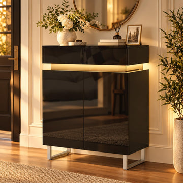 High Gloss Black Shoe Cabinet with LED Lights & 2 Storage Drawers