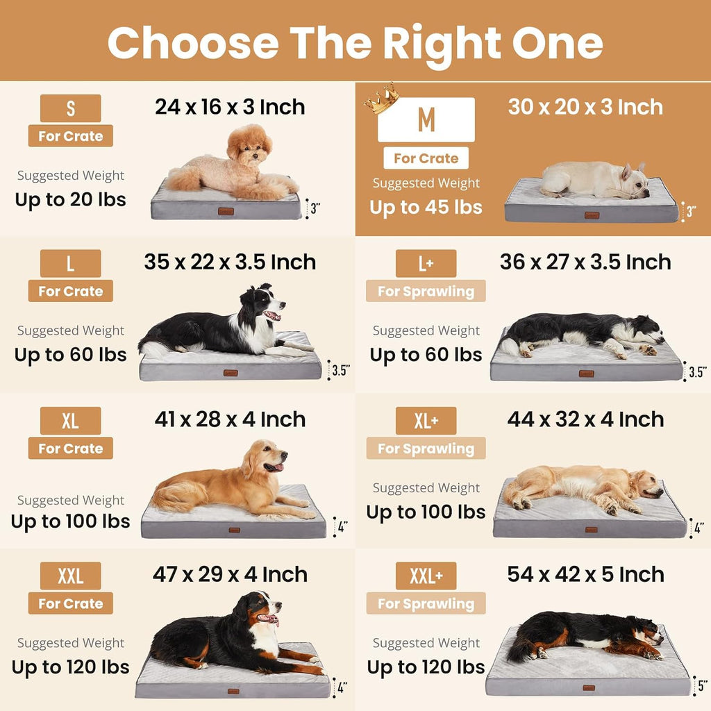 Orthopedic Medium Dog Bed, Reversible Memory Foam, -M(Gray)
