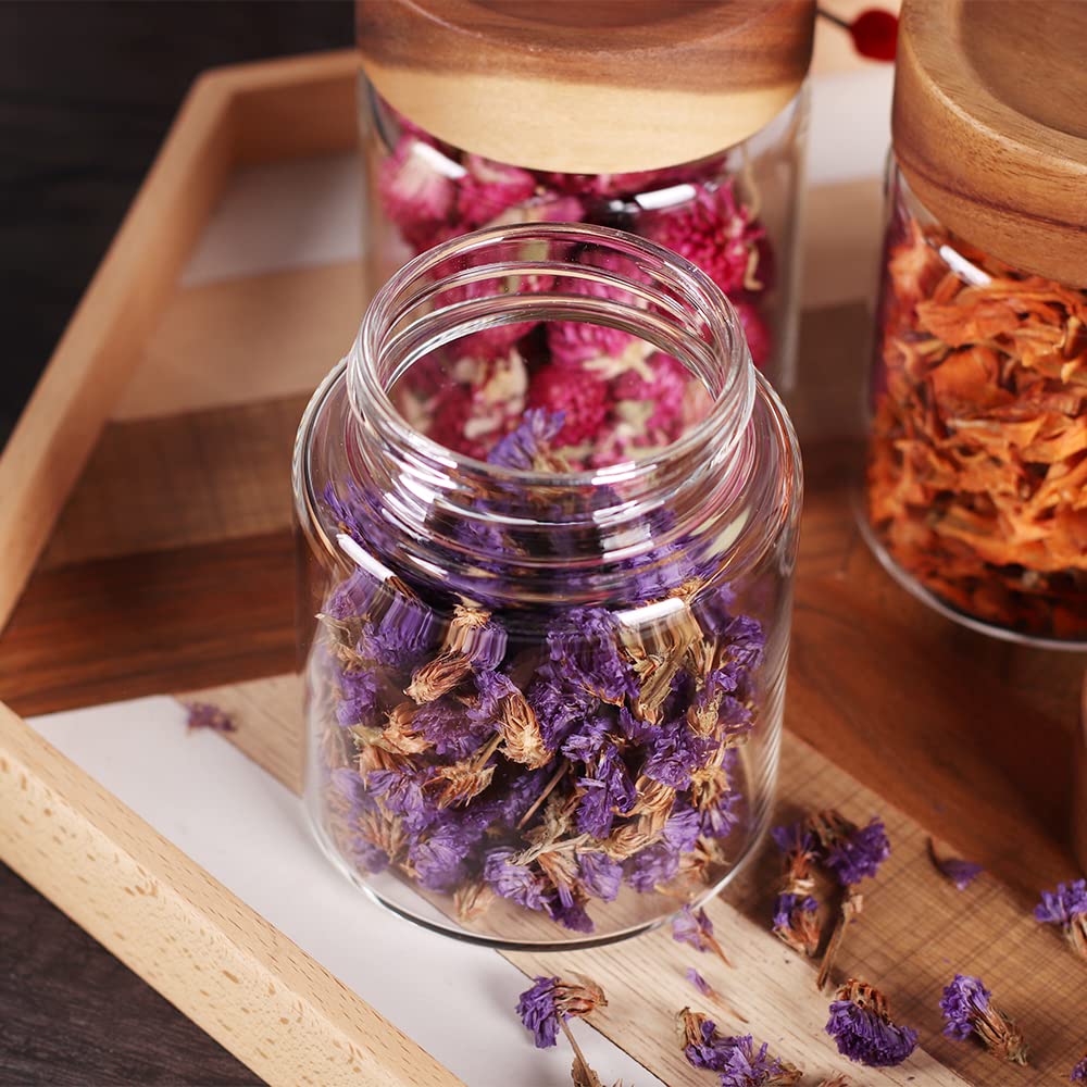 3 Packs Glass Food Storage Jars with Screw Airtight Seal Acacia Wood Lids, Spice Jars with Lids, Organization for Jars