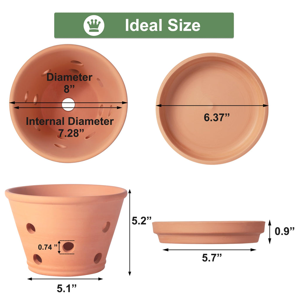 8 inch Terracotta Orchid Pots with Holes and Saucers, 2 Pack Clay Orchid Planter Pots for Repotting, Large Terra