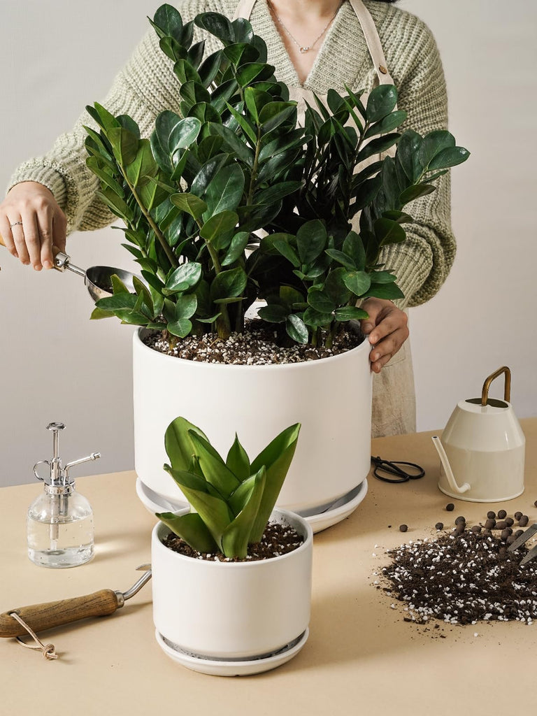 10 + 12 Inch Ceramic Plant Pots, Set of 2, White