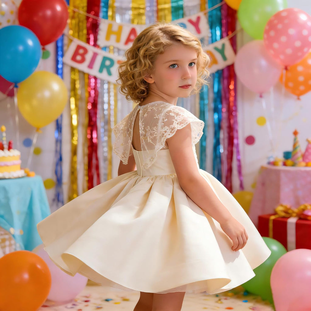 Toddler Baby Flower Girl Dress Wedding Pageant Birthday Party Lace Embroidered Formal Ball Gown Dresses