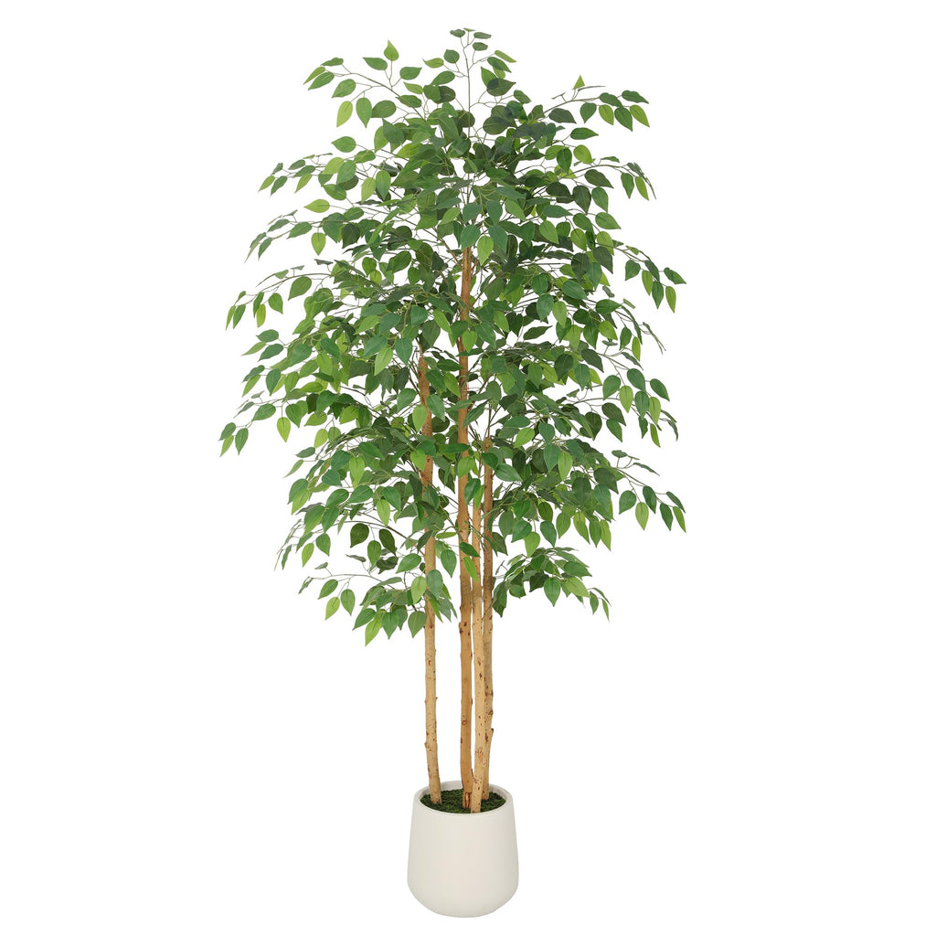 6ft Artificial Ficus Tree with White Decorative Planter & Multiple Real Wood Trunks, 72in Fake Ficus Tree with