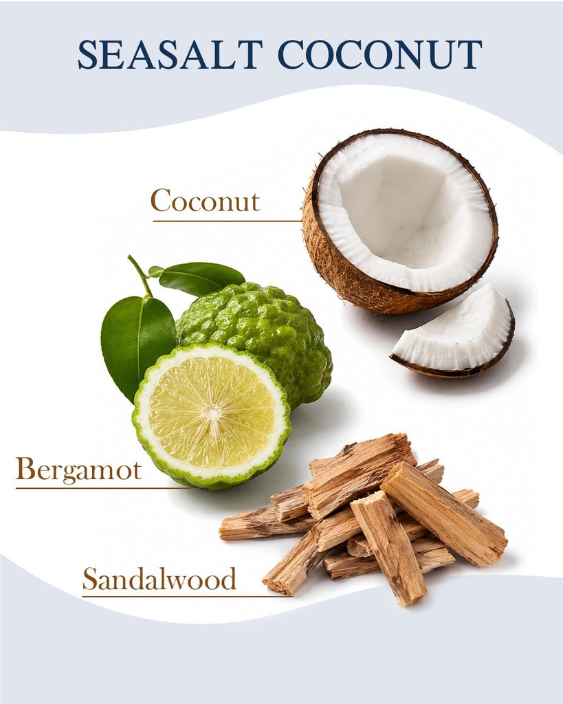 Reed Diffuser Set, Sea Salt Coconut, 7.7 oz Natural Essential Oil