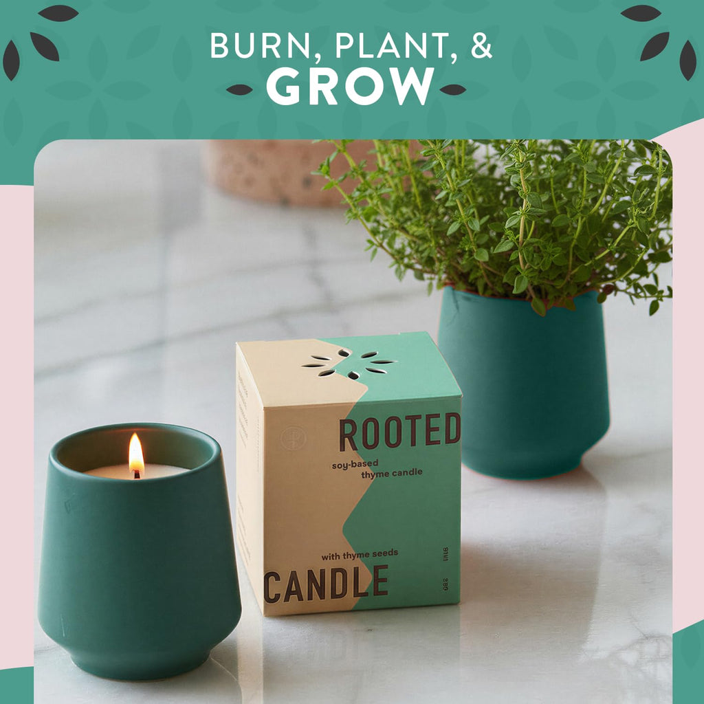 2 in 1 Scented Candles w/Seeds that Grow into Plants -3 pk