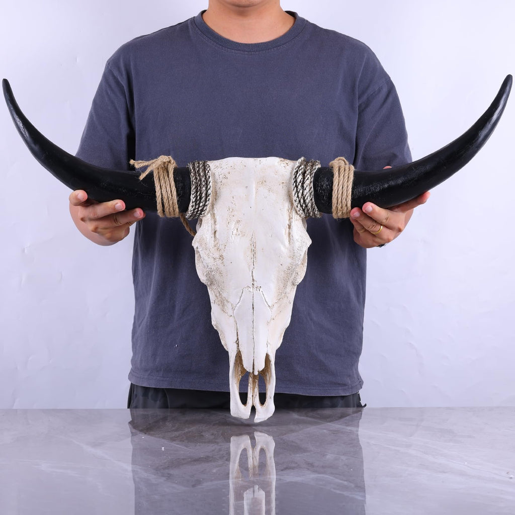 Longhorn Wall Decor Long Horns Wall Decor Resin Long Horn Skull Head Sculpture, Cow Skull Accent for Western Gothic