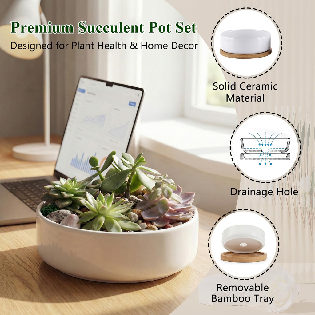 6 Pack 6" Ceramic Succulent Pots, White Planters with Drainage Tray