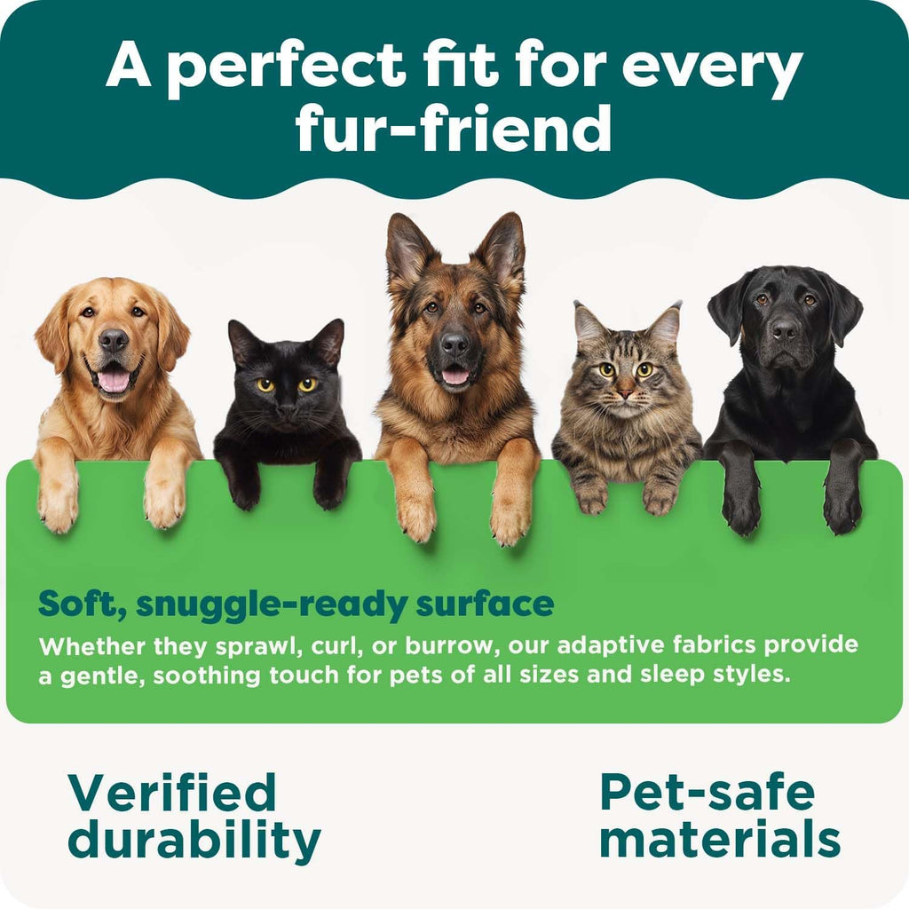 Cooling Gel Dog Bed for Dogs w/ Removable Bolsters & Washable Cover, For Dogs Up to 55 lbs - Plush &
