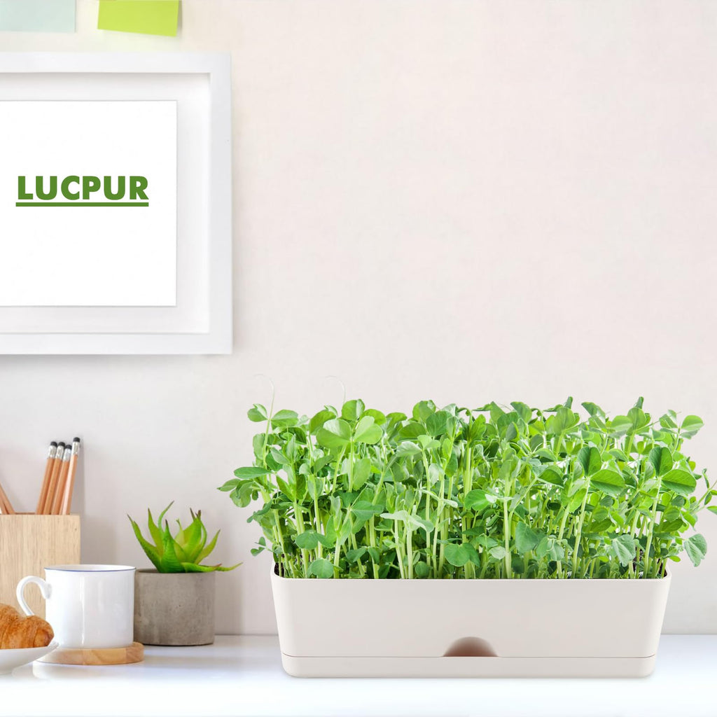 2-Pack Flower Pots Large Window Boxes Planters 16 Inch Rectangle Plant Pot Rectangular Planters for Outdoor Indoor