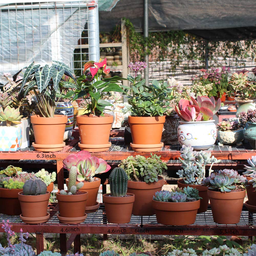 8 Pcs Large Terracotta Pot Clay Pots 5.5'' Clay Ceramic Pottery Planter Cactus Flower Pots Succulent Pot Drainage