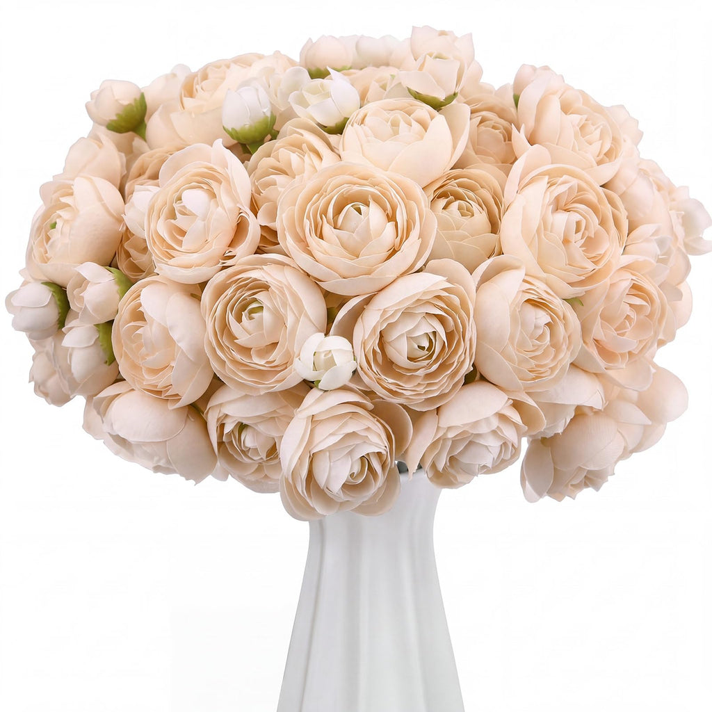 48 Pcs Ranunculus, Champagne