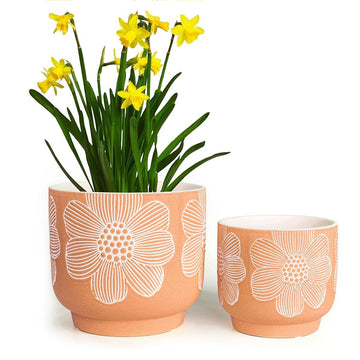 Ceramic Plant Pots, 8+6 Inch, 2 Pcs Indoor Planters with Drainage Holes