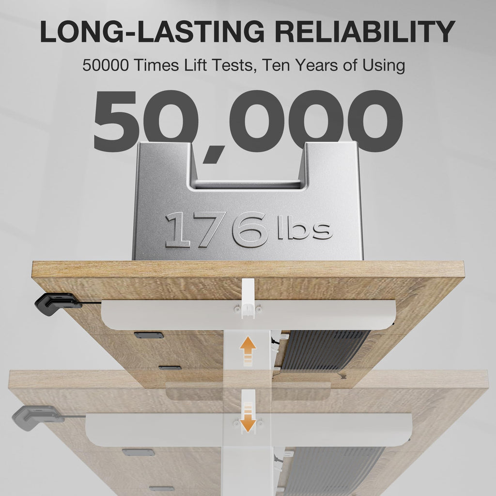 40x24 Electric Standing Desk with Cable Net, Oak
