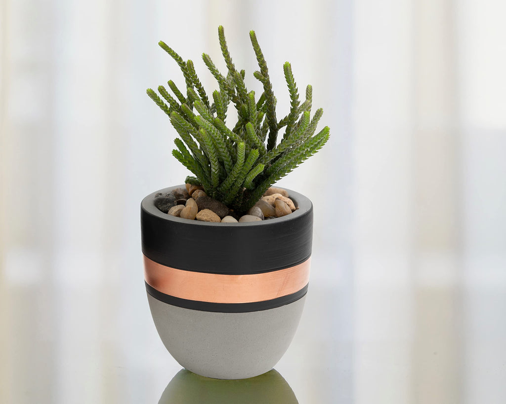 Hand Painted Indoor Plant Pots, Set of 3 Modern Cement Succulent Pots with Drainage, Best Planters for Cactus, Herbs