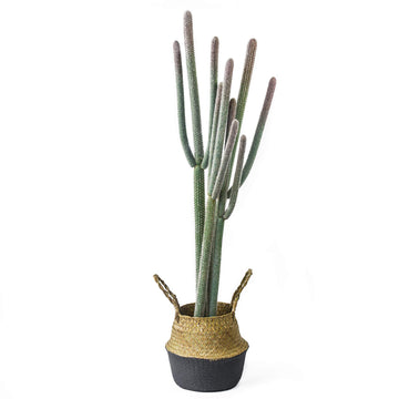 4ft Tall Artificial Cactus in Plastic Planter with Seagrass Basket