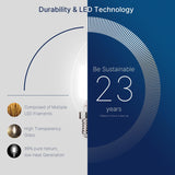 60W Equivalent LED Chandelier Light Bulbs, E12 Base, Clear B11 LED Filament Candelabra Bulbs, 5000K Daylight, 500LM