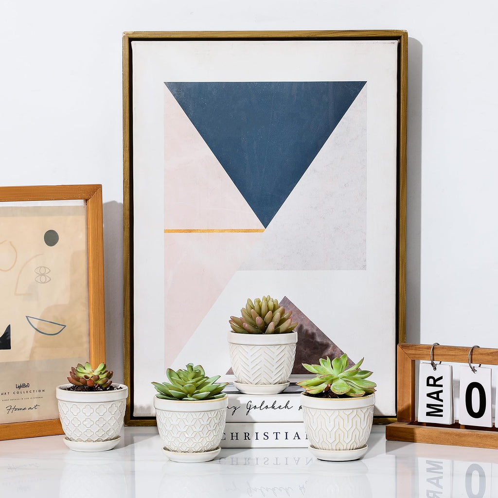 3.5" Embossed Ceramic Succulent Pots with Saucers and Mesh, Glazed White