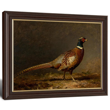 Antique Framed Pheasant Canvas Wall Art, Vintage Bird Portrait Oil Painting Canvas Prints, Traditional Farm Wall