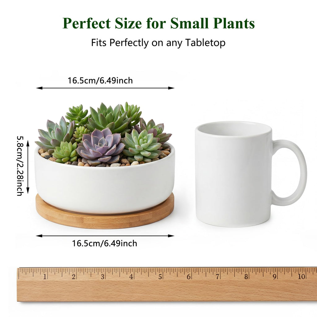 6 Pack 6" Ceramic Succulent Pots, White Planters with Drainage Tray