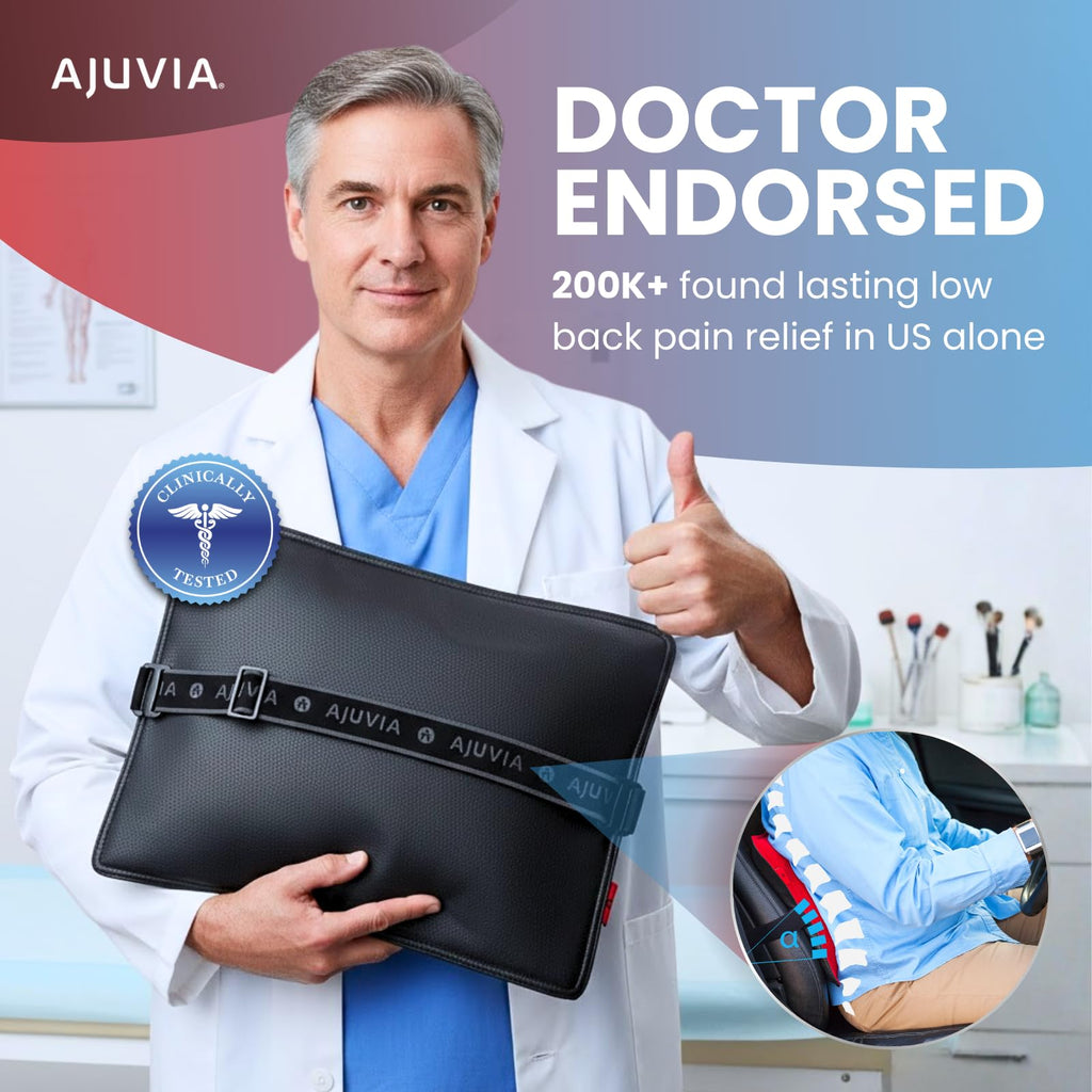 Back Vitalizer Lumbar Support Pillow Chair & Car