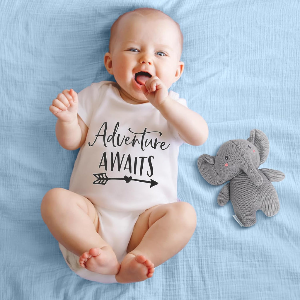 Baby Boy Gifts for Baby Shower, 11pcs Newborn Essential Basket Includes Newborn Blanket,Onesie,Wooden Rattle,Welcome