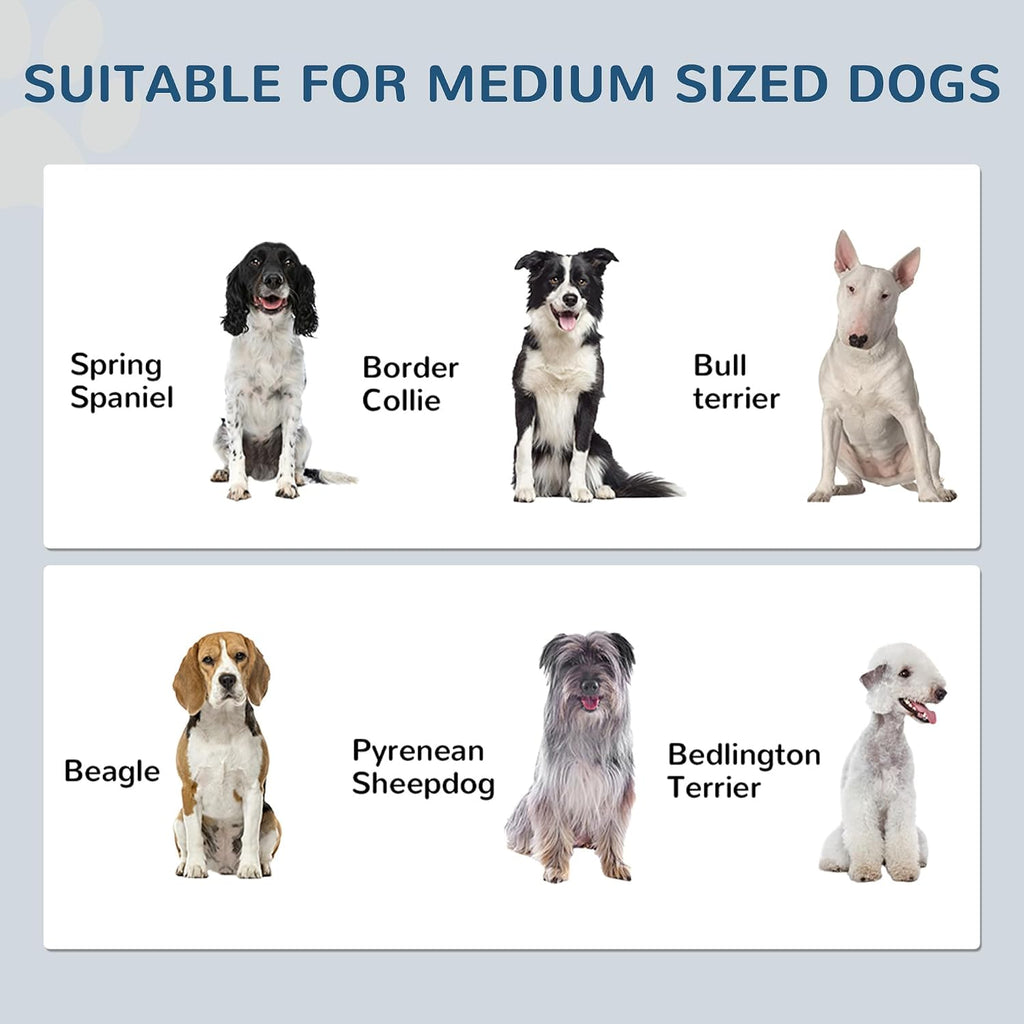 Pet Feeding Station Elevated Dog Bowls for Medium Sized Breed White