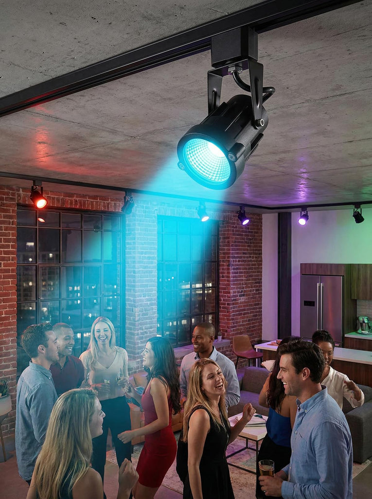 Track Lighting Heads 12W Multicolor Remote LED Track Lights Fixtures for Accent Retail Kitchen Artwork,120V Linear