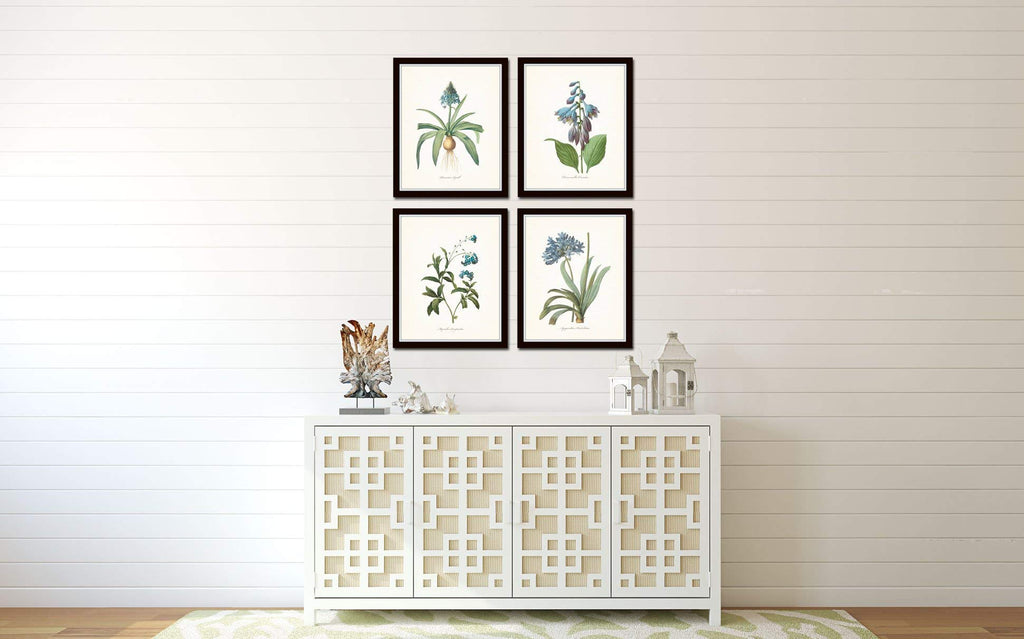 Redoute Blue Botanical Print Set No.7 - Botanical Prints, Wall Art Prints, Vintage Wall Art, Vintage Wall Decor