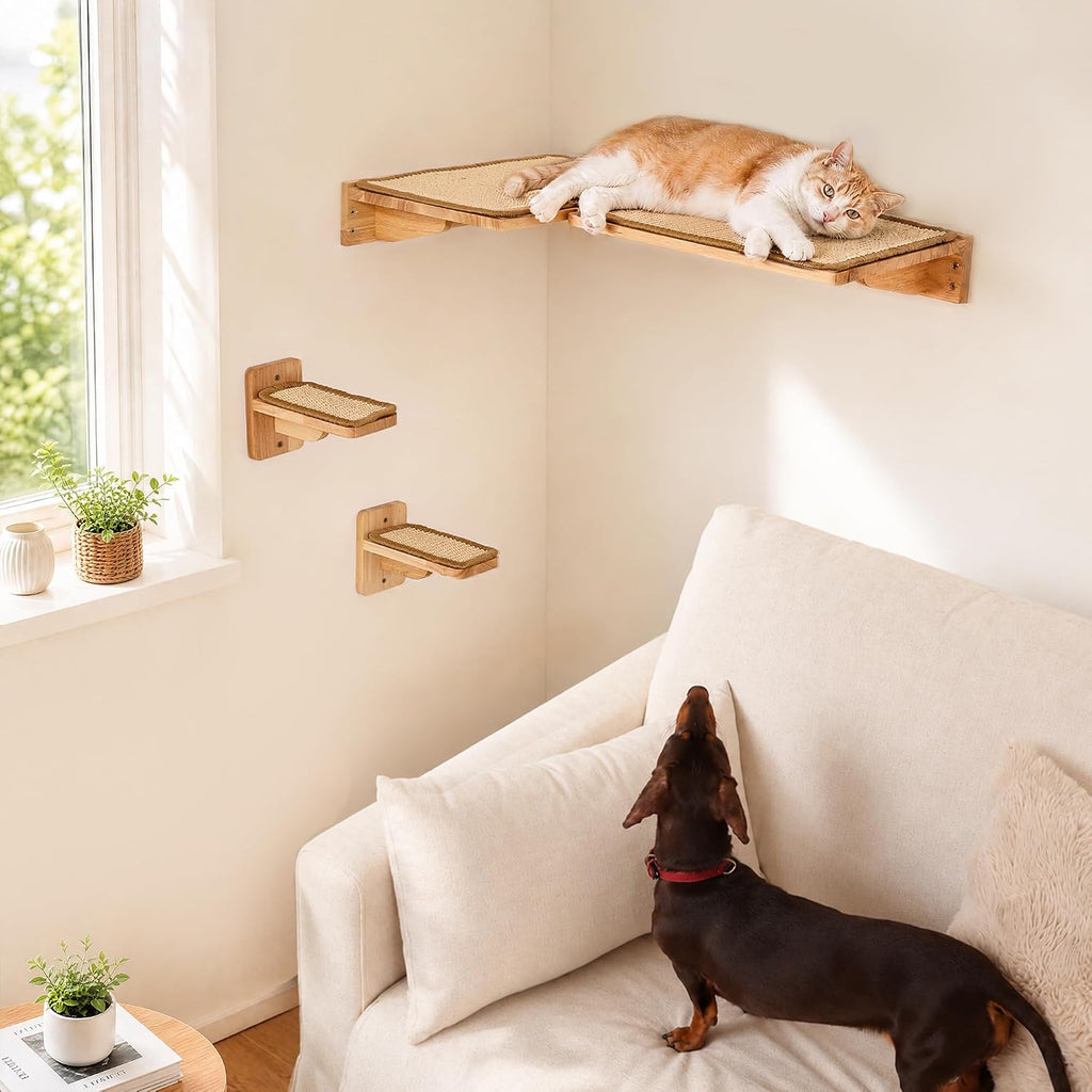 Cat Wall Shelves 4 Set, Solid Rubber Wood Shelf with Sisal Mat