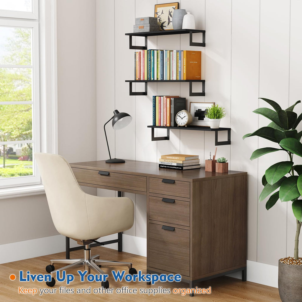 Black Wall Shelves 24 Inch Long, 8 In Deep Floating Shelves
