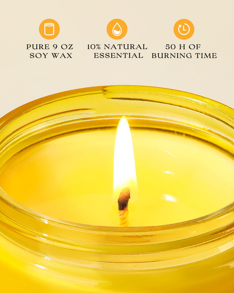 Lemon 2 Pack Odor Eliminating Candle - 18oz Soy Candle