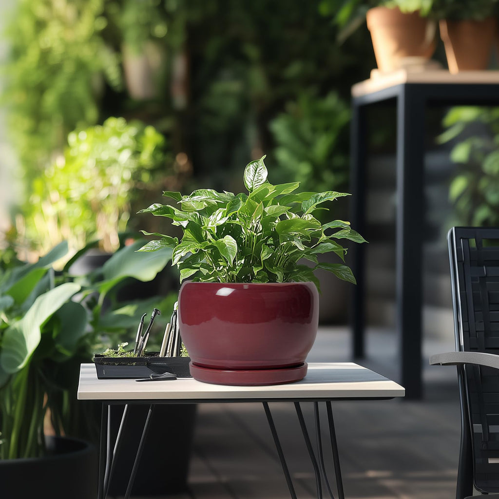 Ceramic Planter - 8 Inch Plant Pot with Drainage Hole and Saucer, Round Planter for Indoor Outdoor Plants, Modern