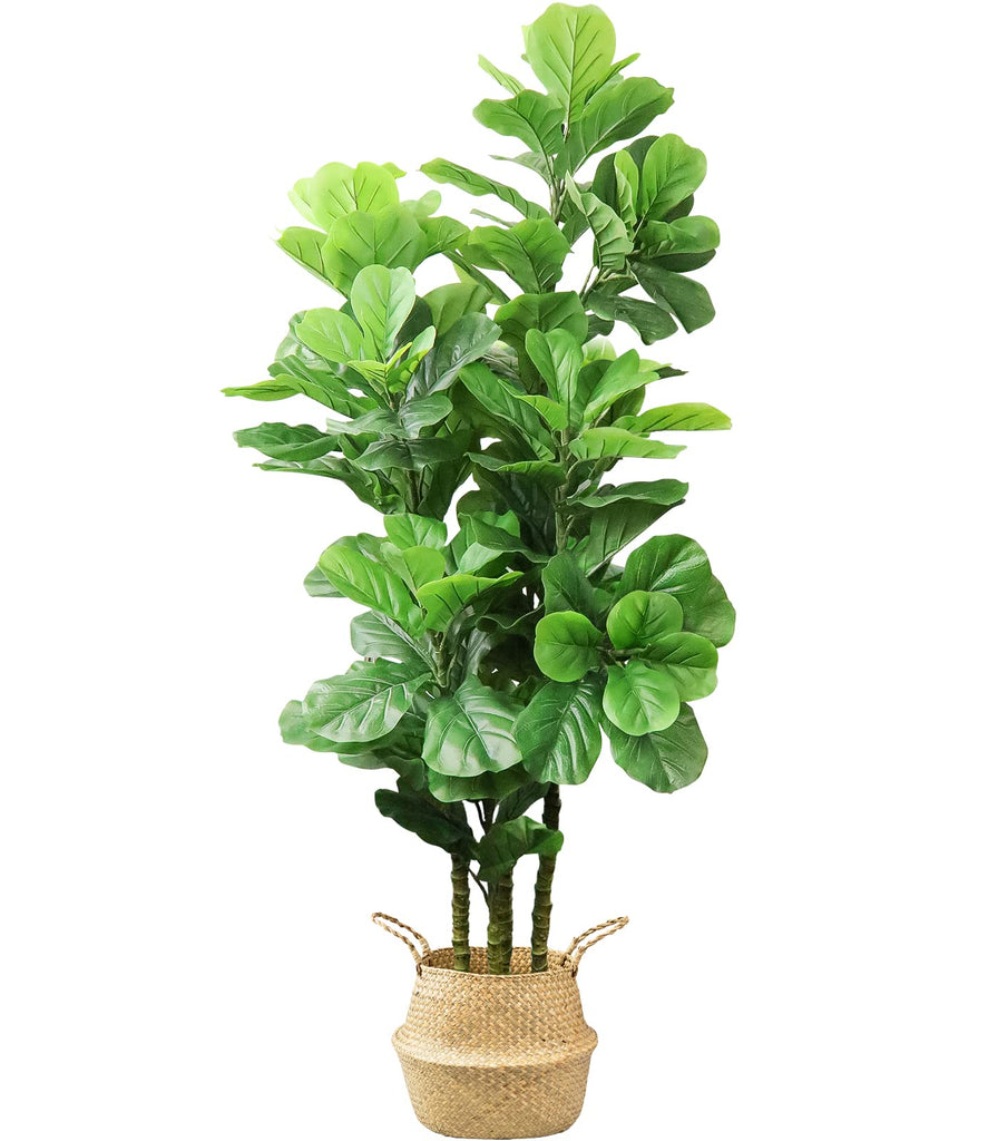 6Ft Artificial Fiddle Leaf Fig Tree with Woven Seagrass Basket and Realistic Moss Tall Fake Plants Large Faux Tree