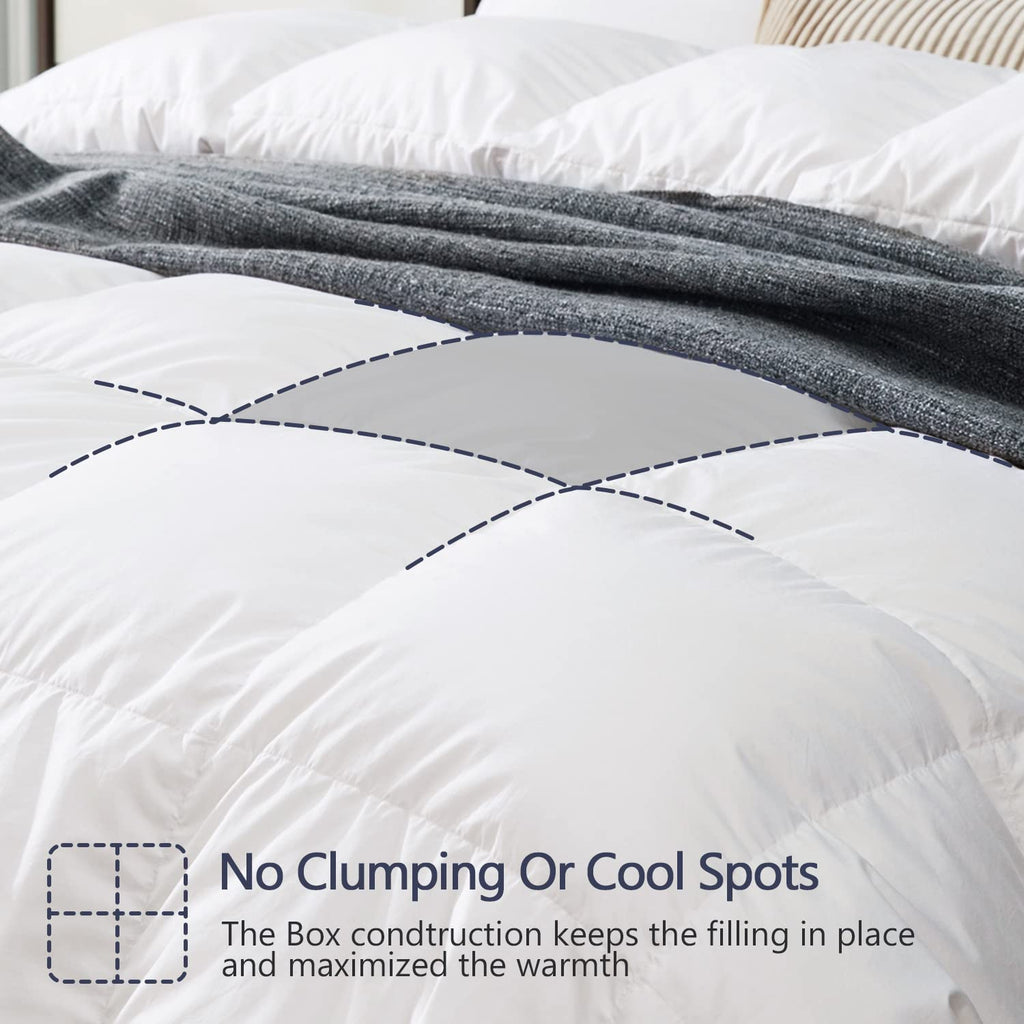 Winter Down Comforter Queen Size, Heavyweight Duvet Insert for Clod Sleepers, Noiseless Soft Shell, with 8 Corner Tabs
