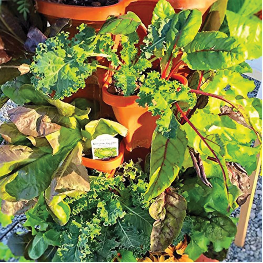 Vertical Garden Planter 4 Tier Stackable System 16 Plants, Space Saving Herb, Strawberry & Food Crop Planter with