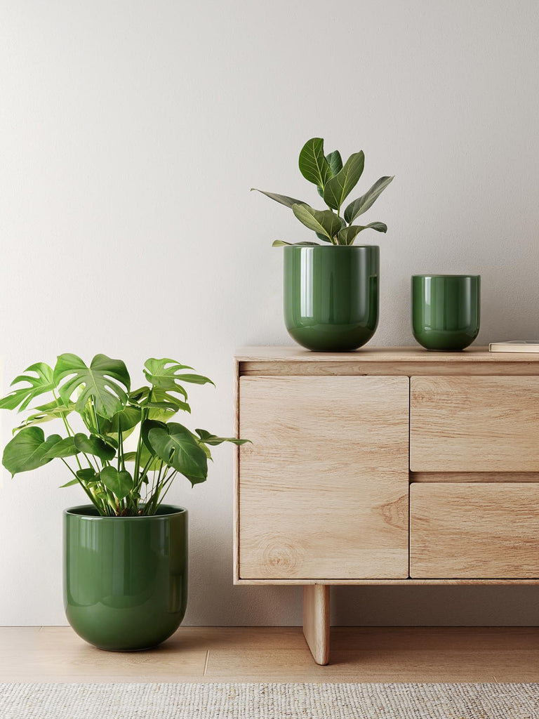 6, 8 & 10 Inch Ceramic Planter Set for Indoor Plants, Bamboo Green