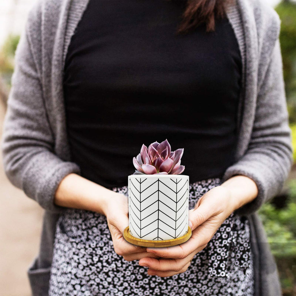 Succulent Planters with Drainage, Geometric Patterned, Minimalist Design 3.5 Inch Small Succulent Pots, Ceramic Flower